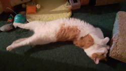 Takhle m� na �t�dr� ve�er zmohlo vzru�en� a radost z d�re�k�.