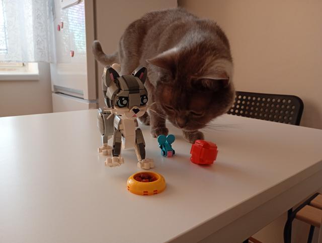 No toto?! Ona m� v�c masa!