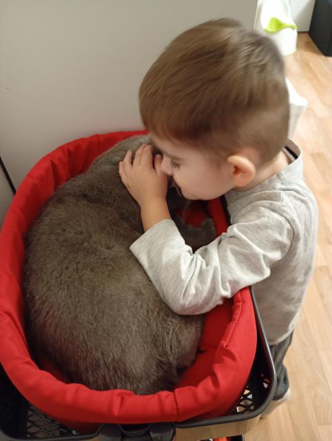 Mus�m to mnouknout sv�tu! M�m toho nejv�t��ho milovn�ka!! J� p�es den a v noci Elv�ra dr�� str�! Ehm kec�m ..chod� si tam nah��t ko�uch, kdy� je kluk te� nemocnej.