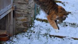 Po sv�tc�ch to chce tro�ku toho pohybu, tak tr�nuju skoky do sn�hu.