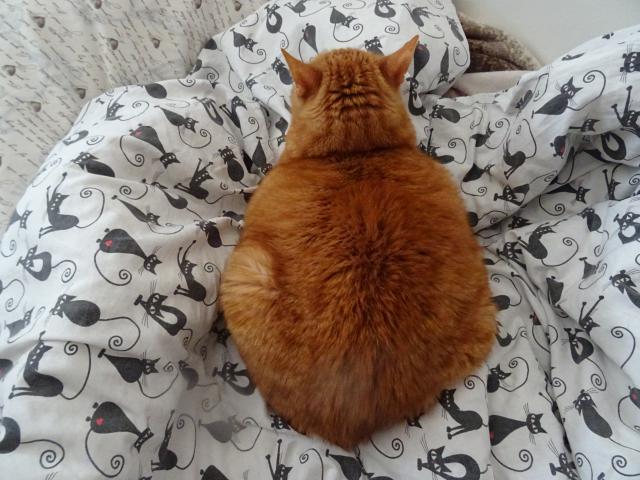 Nee, j� se skute�n� nechci j�t vyv�trat, b� ven sama.