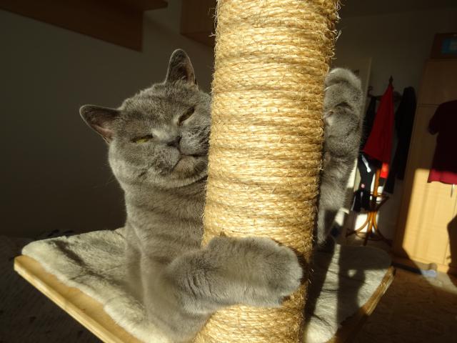 Jak bylo v�era dob�e, kdy� sv�tilo slun��ko.