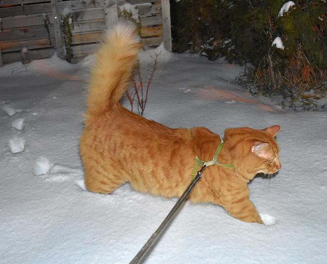 J� u� jsem ale s mno�stv�m sn�hu docela spokojenej :-)