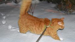 J� u� jsem ale s mno�stv�m sn�hu docela spokojenej :-)