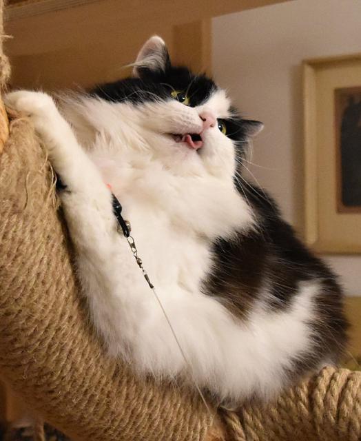 Se m� ptali, jestli taky nejdu ven. Co si mysl�te, �la jsem?