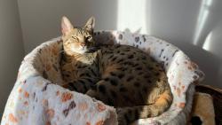 K���lovnou jsem j���� :-)