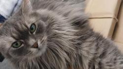 Furt tam je�t� sn��?