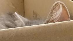 ��pak jsou to ou�ka?