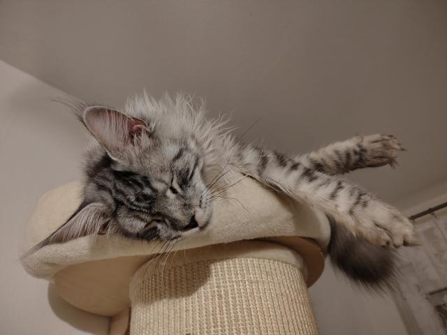 Sp�m a nic m� nevzbud�