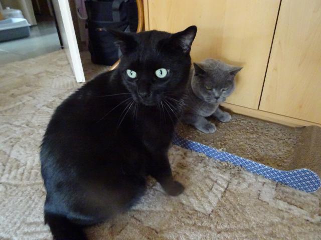 Cht�l jsem se poprat s Lojzou, ale pani�ka m� p�istihla, tak d�l�m jako �e se jenom d�v�m ven.