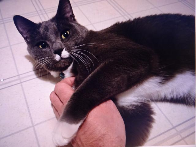 Nugget :   R�d z�pas�m s p�n�kovou rukou. V�dycky ji p�eperu.