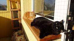 Hur�, jaro je tady.