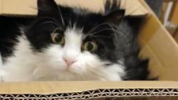 3/ Co? Jak? Kde? O jak� potvo�e je tu sakra �e�?!?!