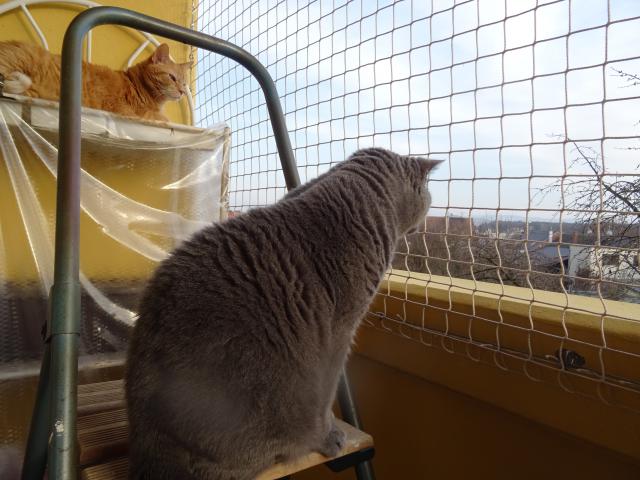 Dneska r�no na balkon�.