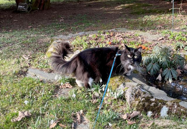 Jarn� z�ti�� :-)