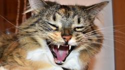 Renata si namazala chleba m�slem a na to si je�t� dala �un�i�ku. P�n�k j� cht�l n�co uk�zat, tak se �la kouknout. �un�i�ka byla vynikaj�c�, m�slo docela u�lo, chleba jsem Renat� nechala :-)