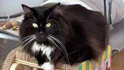 Tady ležím nejradši 😎