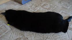 Dostal jsem �petku �anty a pod�vejte se, jak jsem se z toho nat�hnul. Pr� u� nebudu Macek, ale �pagetka.