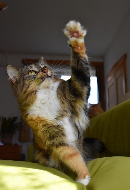 1/4 Renata se ptala, kdo si p�jde zacvi�it. Hned jsem se p�ihl�sila