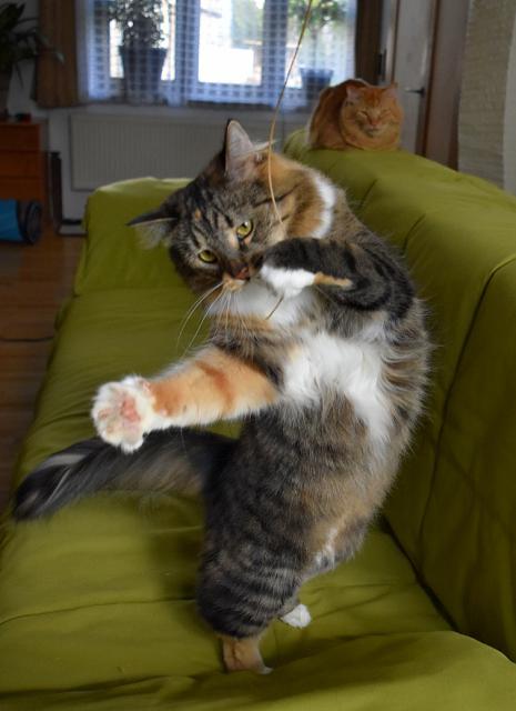 4/4 Sestavu jsem zakon�ila piruetou.