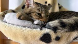 S Klotyldou spink�m moc r�d 😊