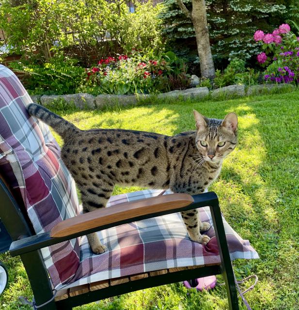 P�eji hezkou slune�nou ned�li ☀☀☀, takhle po r�nu je venku fajn 😀
