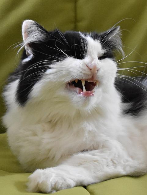 3/3 I Kdyby ses ma�kat cht�la, tak t� sem stejn� nepust�m.