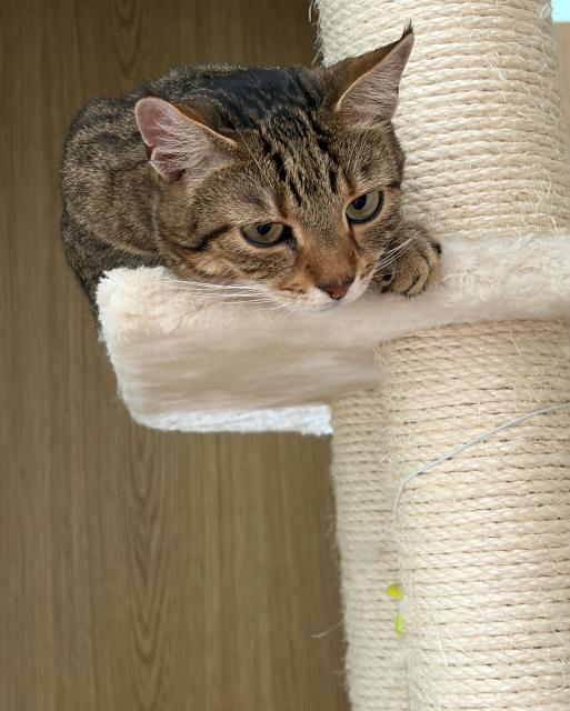 Sukino, j� ti ty hra�ky p�j��m, ale nemus� to hned v�echno rozcupovat!