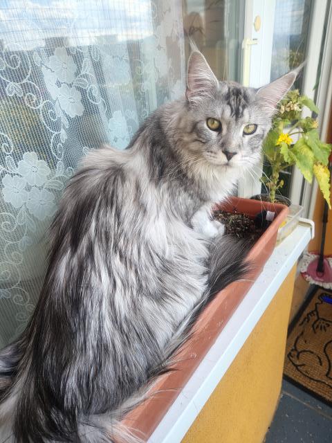 Co kouk�, jsem kyti�ka!
