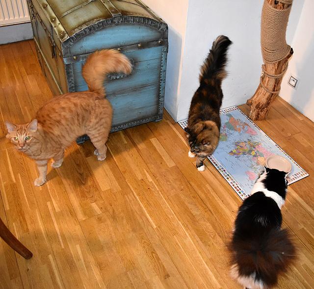 To tady m�me skonat hlady? Kdy u� n�m d� tu ve�e�i...
