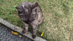 N� drobek. Tedy d�dy.-)