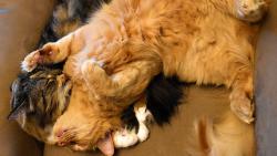 2/3 Zuzanko, sliby se slibujou, bl�zni se radujou :-)))