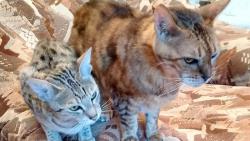 Jak to ta �elmice ud�lala, �e tady vypad�m tak mal�?