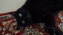 U� m� zase fot� ?