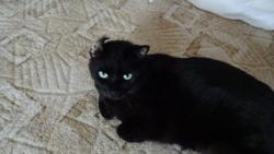 Pro� nepo�k�, a� si sprav�m ucho ? Vypadal bych ur�it� l�p.