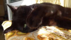 Nefo� m�, j� se styd�m.