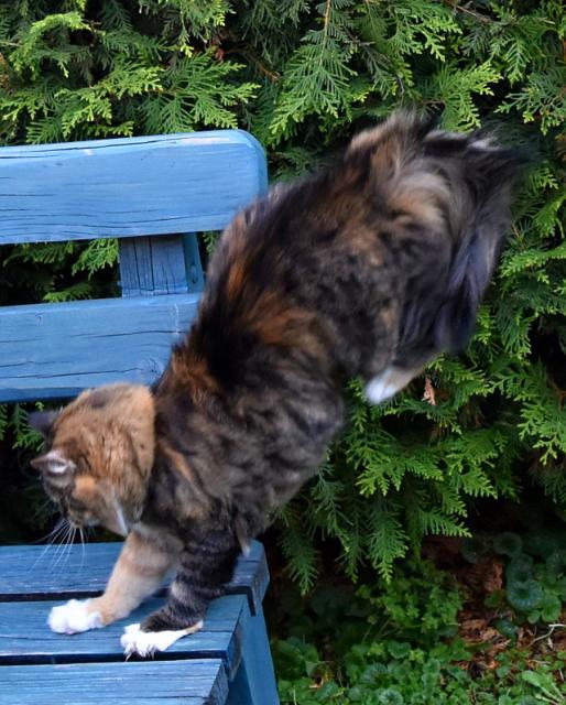 2/3 N�sledoval stoj na p�edn�ch.