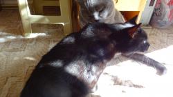 Macku dr�, mus� t� trochu um�t.