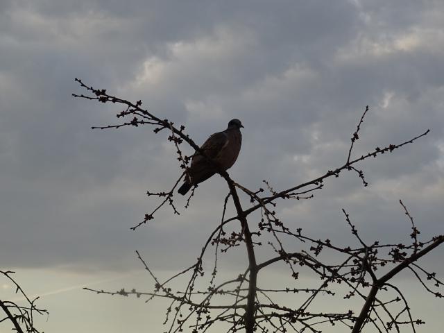 Fotka u koment��e