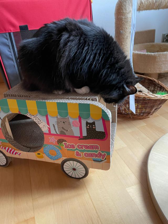 Fotka u koment��e