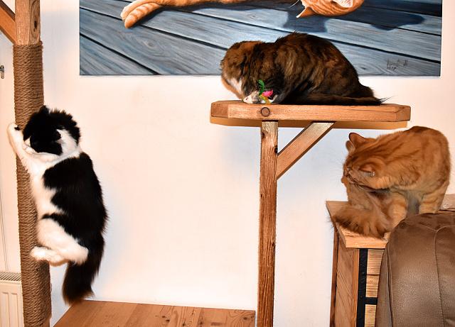Fotka u koment��e