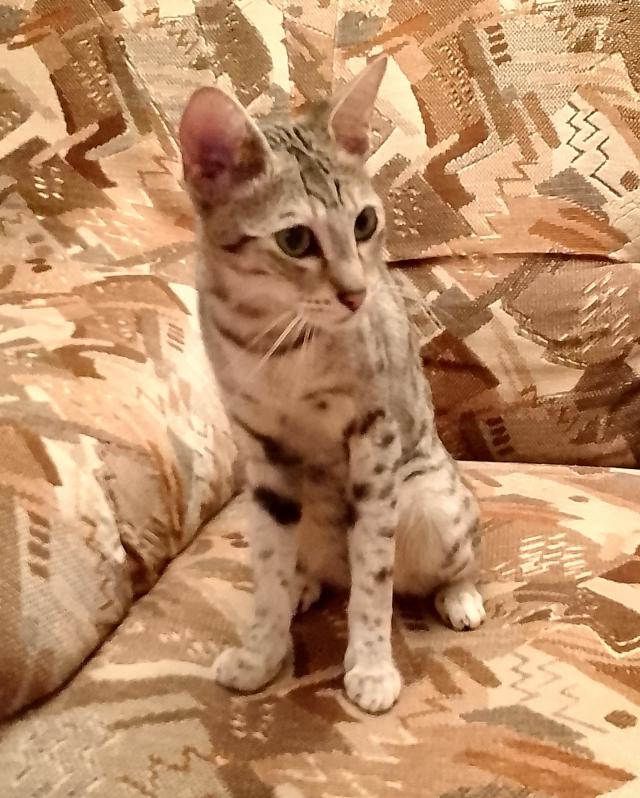 Fotka u koment��e