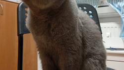 J tvoj veei opravdu nevidla! Ale svoj maminku jsem si nala&#129325;