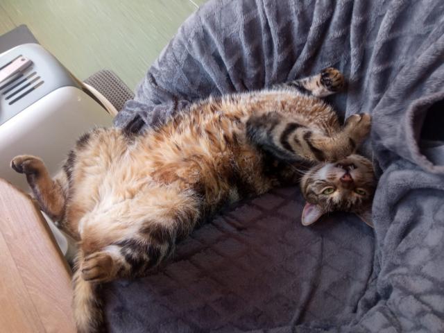 to m�m leh�ro,moje obl�ben� k�es�lko a p�n��ek?A� si stoj�