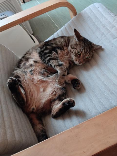to m�m kr�sn� k�es�lko na poledn� odpo�inek