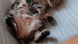 to m�m kr�sn� k�es�lko na poledn� odpo�inek