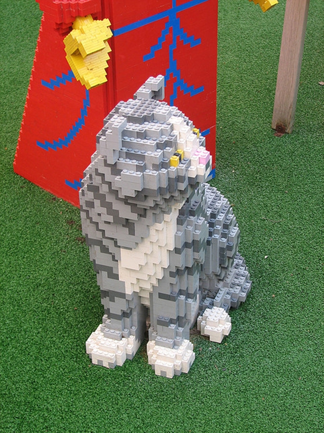 Lego koka