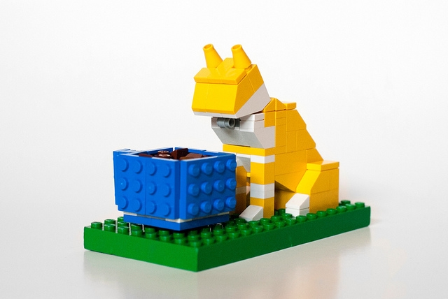 Lego koka