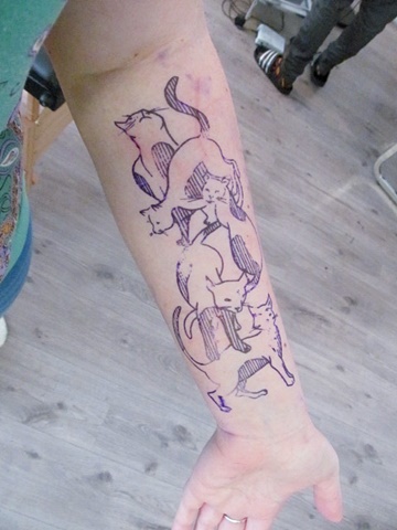 Koky v tetovacm salonu / Cats in Tattoo Salon