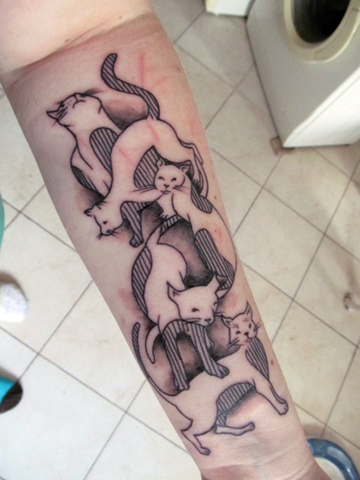 Koky v tetovacm salonu / Cats in Tattoo Salon